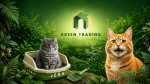 Cat Accessories - Image 2